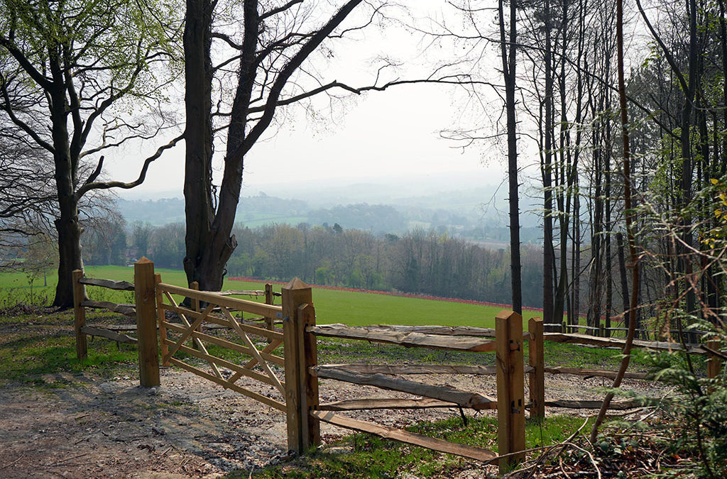 Choosing The Right Fence for Your Outdoor Space