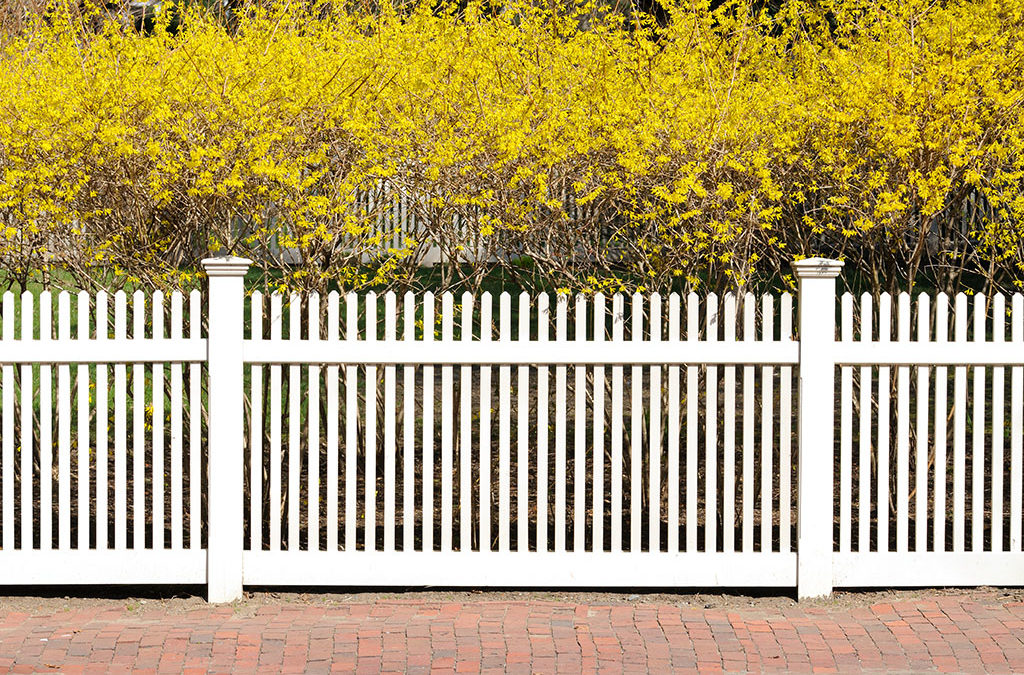 How to Increase the Lifespan of Your New Wood Fence