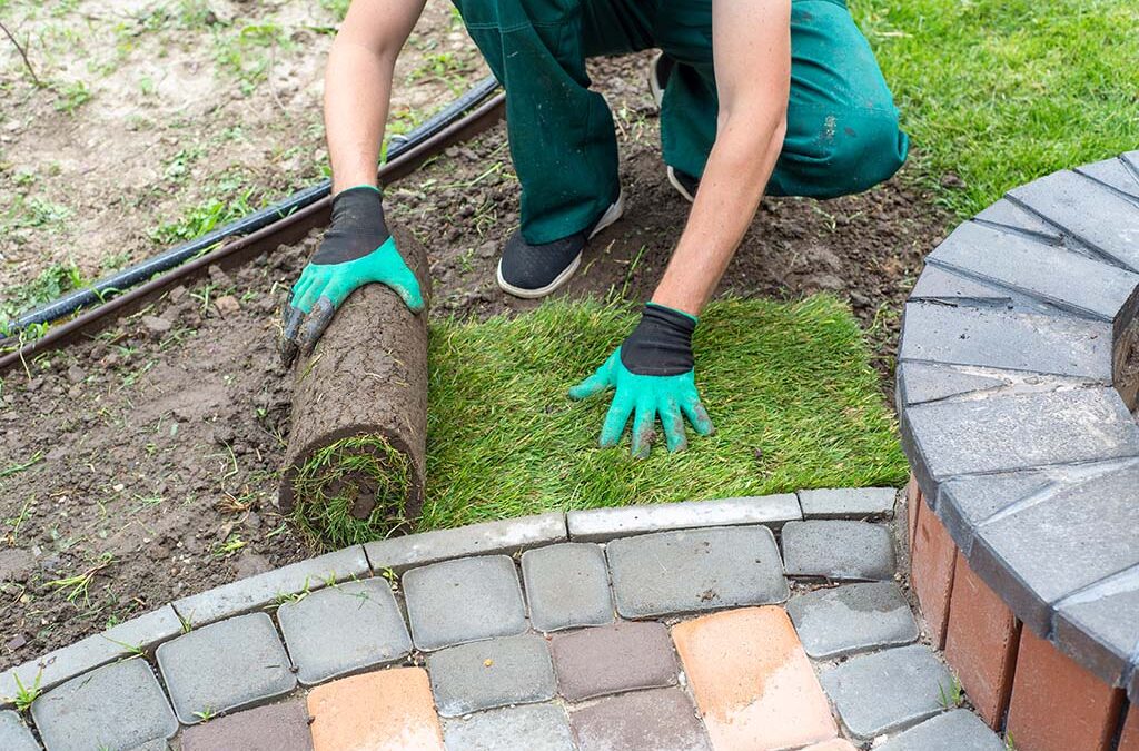 Where To Begin with Garden Landscaping