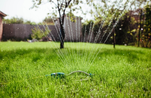 Keep Your Lawn Lush with These Handy Tips